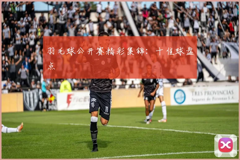 羽毛球公开赛精彩集锦：十佳球盘点