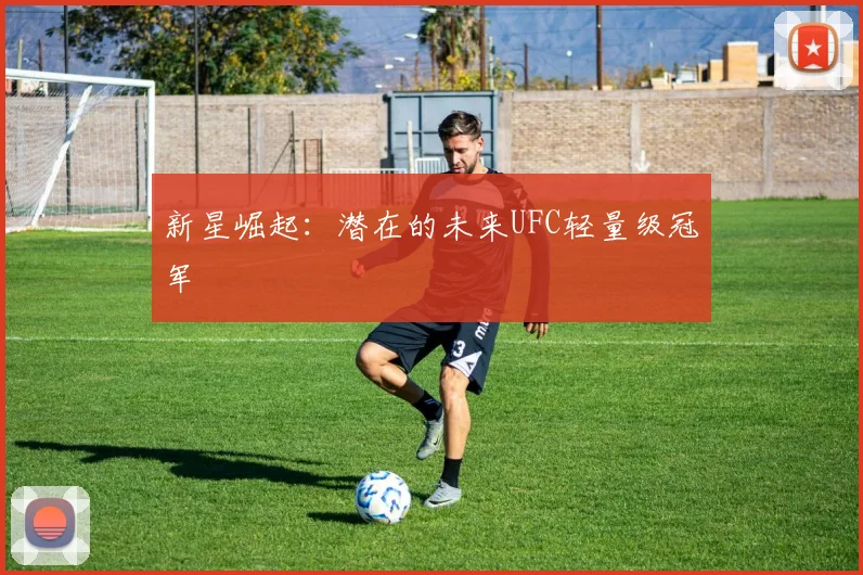 新星崛起：潜在的未来UFC轻量级冠军
