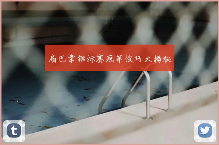 扇巴掌锦标赛冠军技巧大揭秘