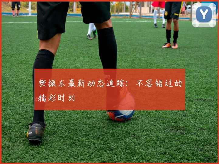 樊振东最新动态追踪：不容错过的精彩时刻