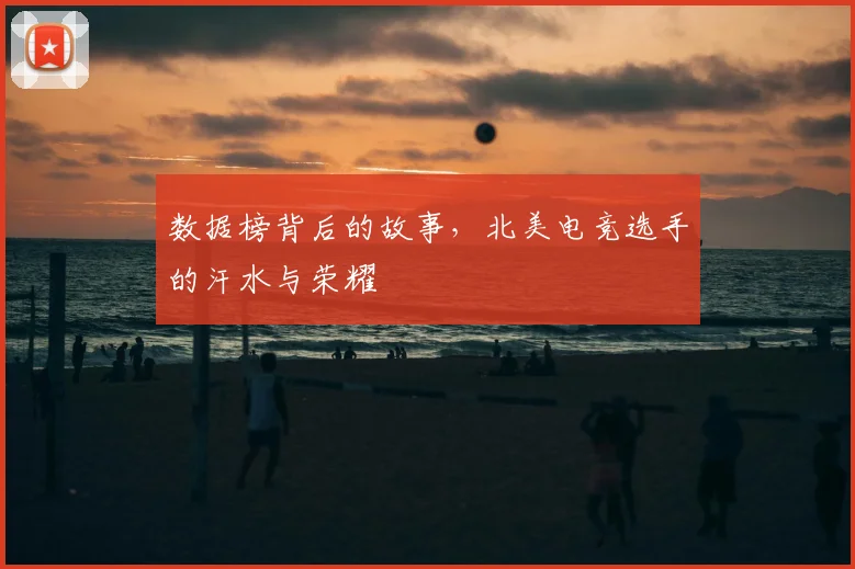 数据榜背后的故事，北美电竞选手的汗水与荣耀