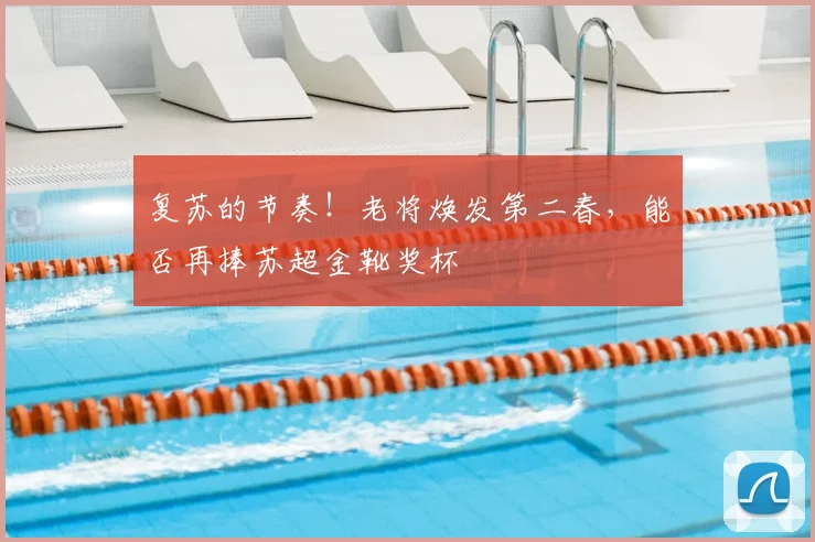 复苏的节奏！老将焕发第二春，能否再捧苏超金靴奖杯