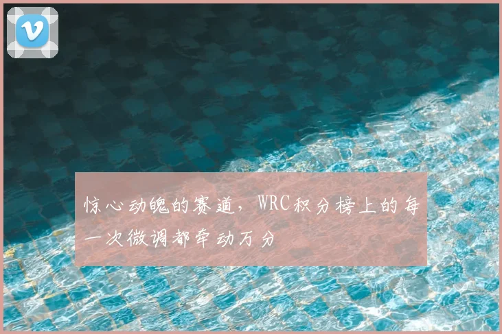 惊心动魄的赛道，WRC积分榜上的每一次微调都牵动万分
