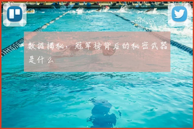 数据揭秘，冠军榜背后的秘密武器是什么