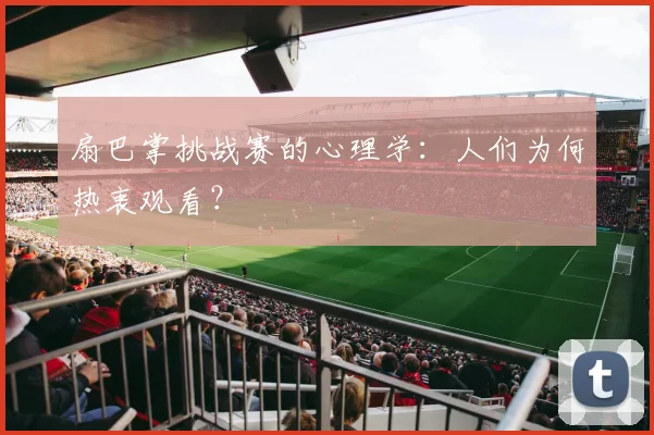 扇巴掌挑战赛的心理学：人们为何热衷观看？