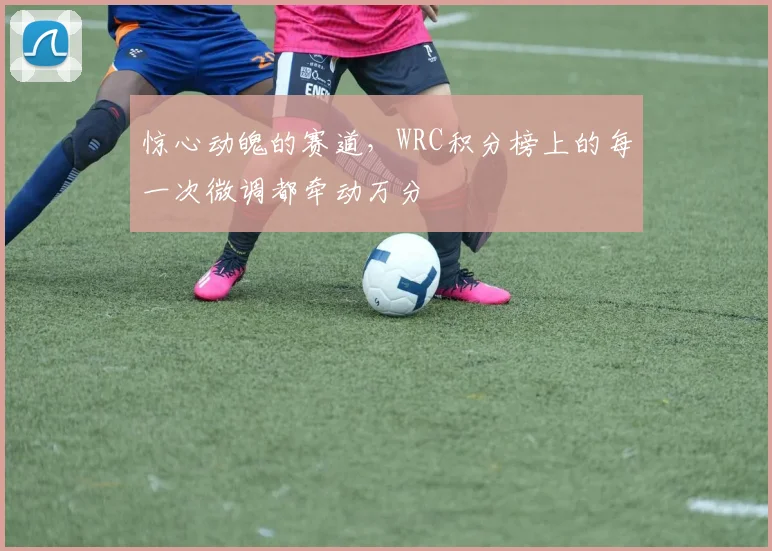 惊心动魄的赛道，WRC积分榜上的每一次微调都牵动万分
