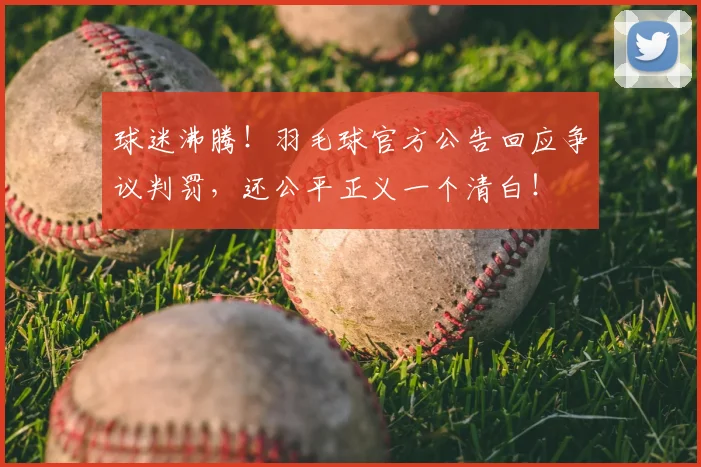 球迷沸腾！羽毛球官方公告回应争议判罚，还公平正义一个清白！