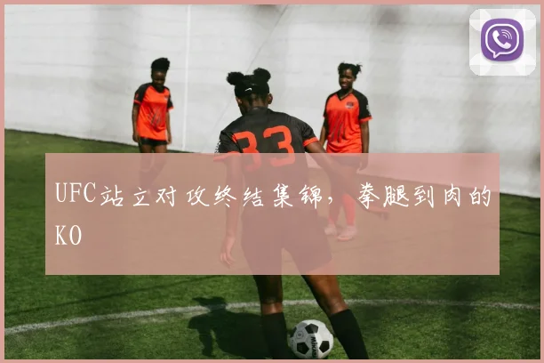 UFC站立对攻终结集锦，拳腿到肉的KO