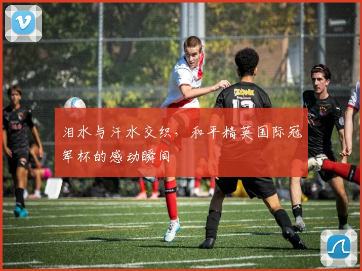 泪水与汗水交织，和平精英国际冠军杯的感动瞬间