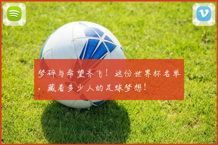 梦碎与希望齐飞！这份世界杯名单，藏着多少人的足球梦想！