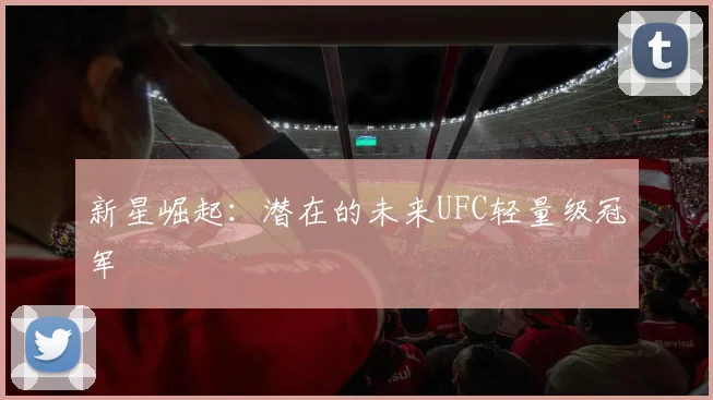 新星崛起：潜在的未来UFC轻量级冠军
