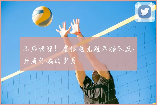 兄弟情深！虚拟电竞冠军榜队友，并肩作战的岁月！