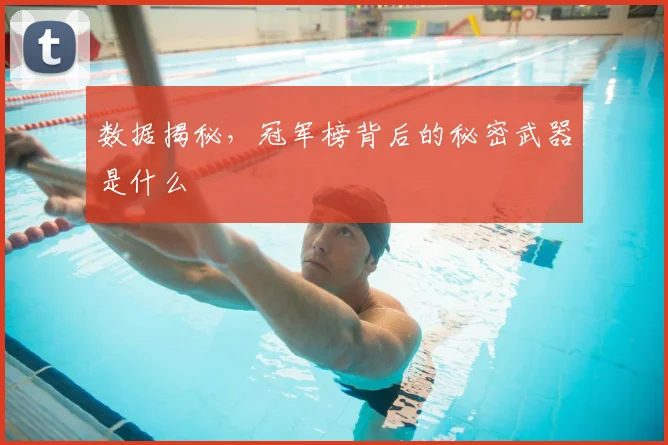 数据揭秘，冠军榜背后的秘密武器是什么