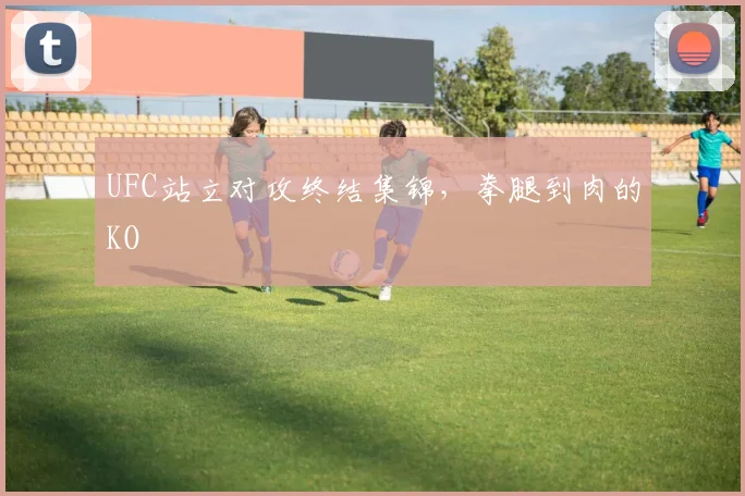 UFC站立对攻终结集锦，拳腿到肉的KO